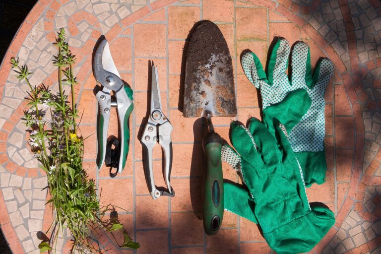 Quel est le plus important outil de jardinage ?